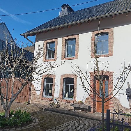 Eifler Brunnenhaus Villa Dumpelfeld Bagian luar foto