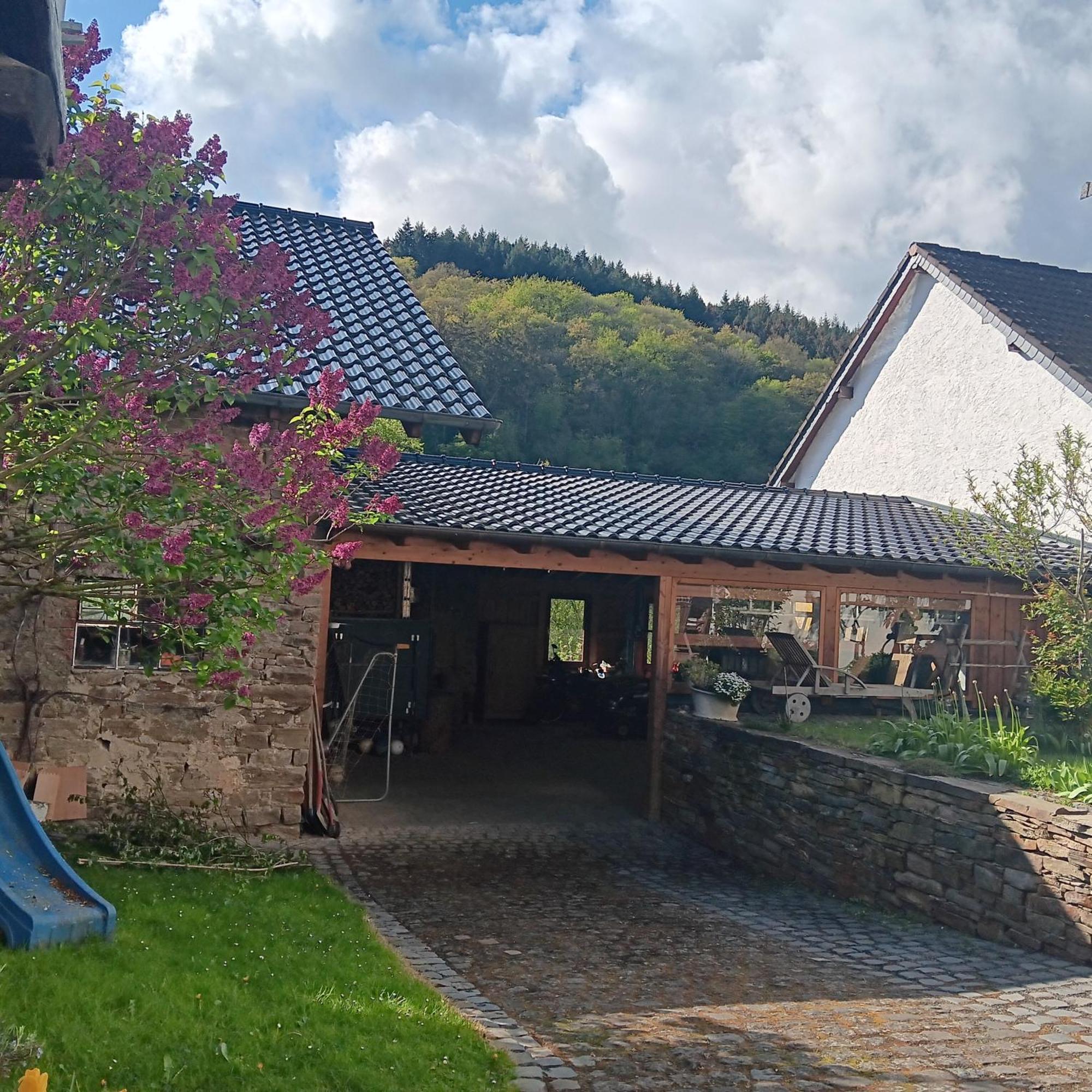 Eifler Brunnenhaus Villa Dumpelfeld Bagian luar foto